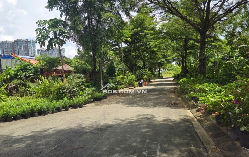 ĐẤT KDC HOÀNG ANH MINH TUẤN - 250M² NGANG 10M - ĐƯỜNG 12M - SỔ HỒNG - 27 TỶ